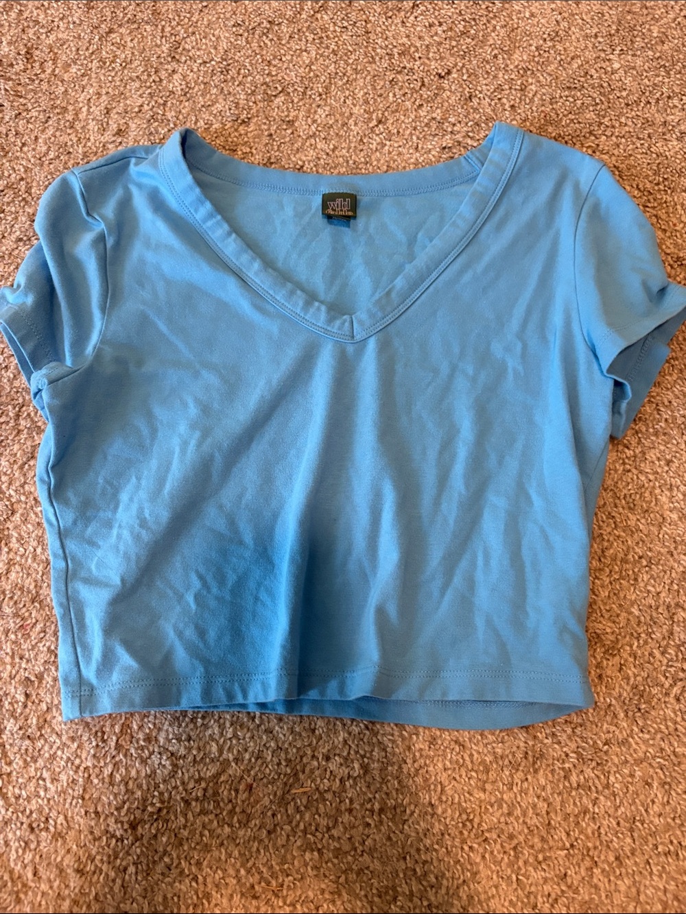 wild fable Light Blue V-Neck Crop Tee